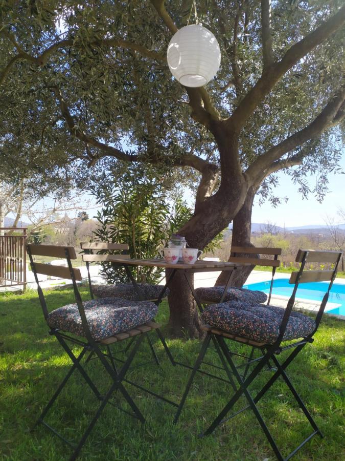 Casa Di Oliva-House With Heated Pool & Jacuzzi In Trilj, Croatia Villa Dış mekan fotoğraf